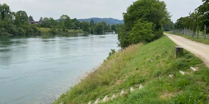 RV park - Stromanschluss - Münchenbuchsee - Badeeinstieg in die Aare - Aarenhof
