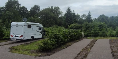Place de parking pour camping-car - Wohnwagen erlaubt - Lintig - Tannenhof Döscher