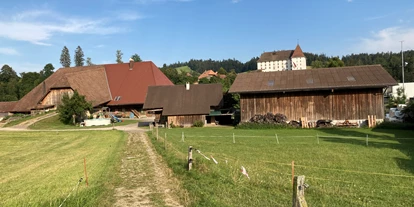 Reisemobilstellplatz - Stromanschluss - Münchenbuchsee - Tanner Burghof