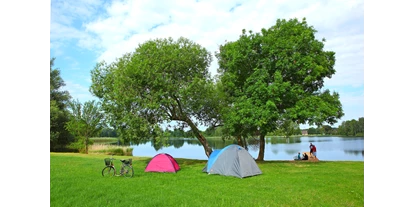 Reisemobilstellplatz - Bademöglichkeit für Hunde - Zeltwiese am Strand - Camping Am Kluger See