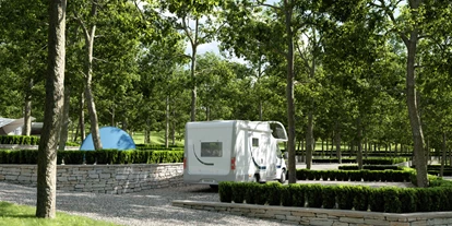Place de parking pour camping-car - WLAN: am ganzen Platz vorhanden - Červar-Porat - Banki Green Istrian Village***