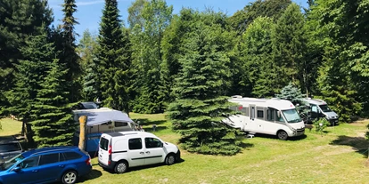 Place de parking pour camping-car - Angelmöglichkeit - Gingst - da könnten Sie stehen - Luigis Campingplatz Nonnevitz 
