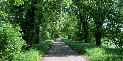 Reisemobilstellplatz - Radweg - Müllrose - Friedenstal im Oderbruch