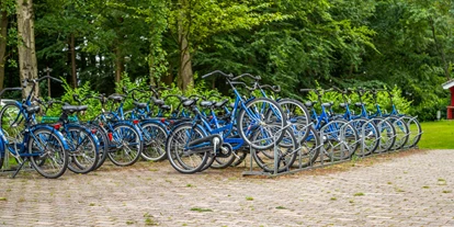 Plaza de aparcamiento para autocaravanas - Art des Stellplatz: im Campingplatz - Naarden - EuroParcs Het Amsterdamse Bos