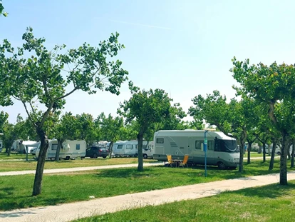 Place de parking pour camping-car - Umgebungsschwerpunkt: Meer - Adria - Camping Adria Riccione - Camping Adria Riccione
