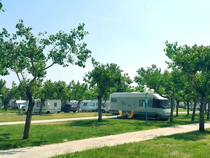 Posto auto camper - Umgebungsschwerpunkt: Meer - Camping Adria Riccione - Camping Adria Riccione