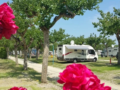 Plaza de aparcamiento para autocaravanas - Umgebungsschwerpunkt: Meer - Adria - Camping Adria Riccione - Camping Adria Riccione