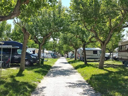 Plaza de aparcamiento para autocaravanas - Umgebungsschwerpunkt: Meer - Adria - Camping Adria Riccione - Camping Adria Riccione