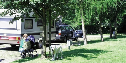 Reisemobilstellplatz - Wohnwagen erlaubt - Reichenberg (Landkreis Würzburg) - Befestigte Stellplätze auf der Übernachtungwiese vor dem Campingplatz - Stellplatz Main-Spessart-Park