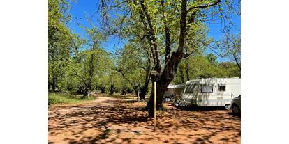 RV park - WLAN: nur um die Rezeption vorhanden - Costa de la Luz - Parcela - Camping el Madroñal