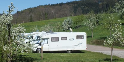 Reisemobilstellplatz - Oberried (Landkreis Breisgau-Hochschwarzwald) - Wohnmobilstellplatz am Bauernhof - Stellplatz Kirnermarteshof