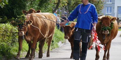 Motorhome parking space - öffentliche Verkehrsmittel - Fröhnd - Das (auch unseres) Vieh kommt beim Viehabtrieb zurück in´s Tal. - Stellplatz Kirnermarteshof