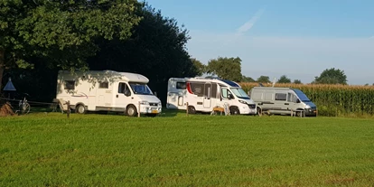 Reisemobilstellplatz - WLAN: teilweise vorhanden - Emmen (Drenthe) - Ferienbauernhof De Slaaphoeve