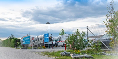 Motorhome parking space - WLAN: am ganzen Platz vorhanden - Austria - CamÖ Camping Mörbisch am Neusiedlersee