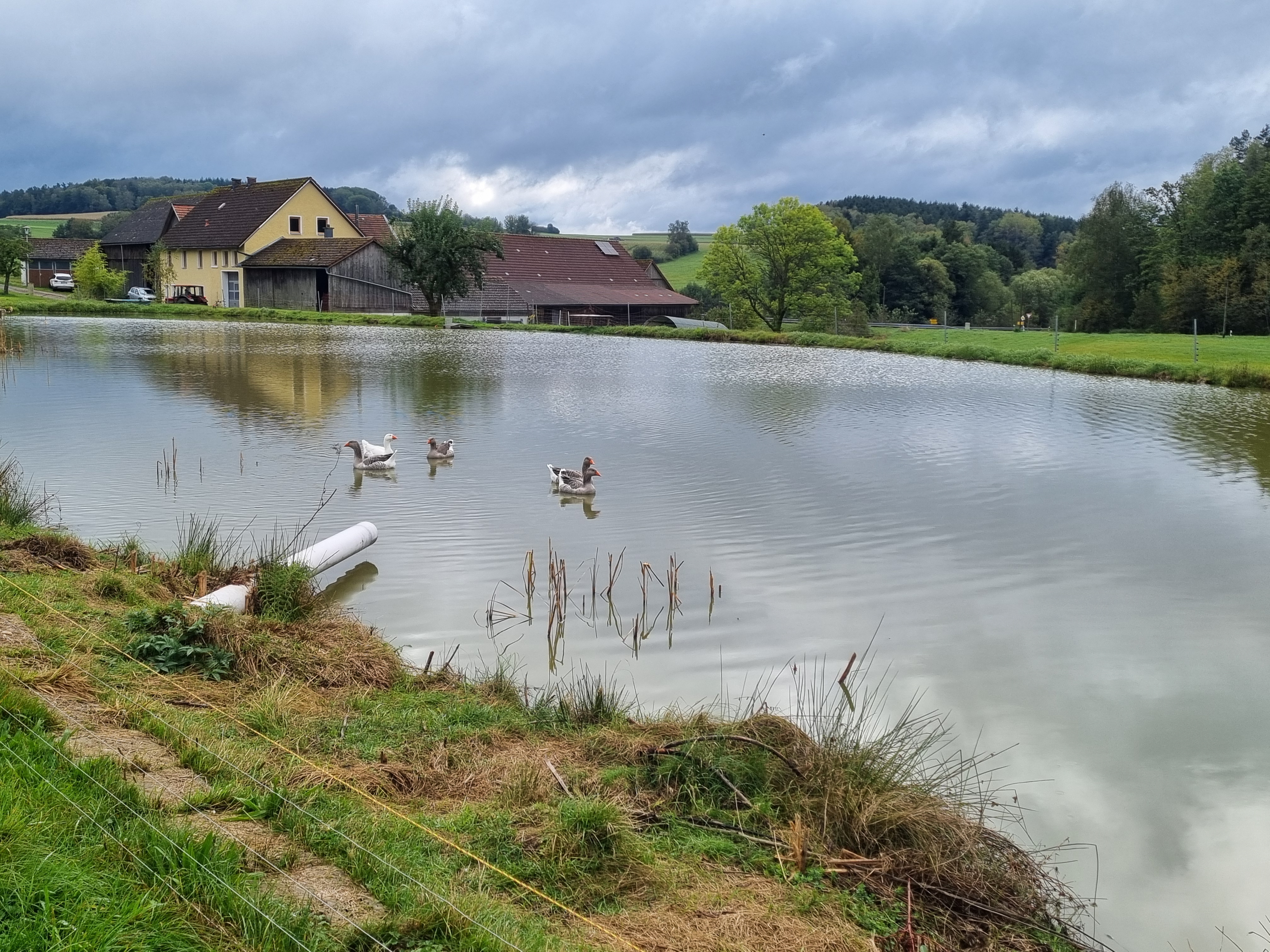 Wohnmobilstellplatz - Kühriedermühle Campen und Fischen