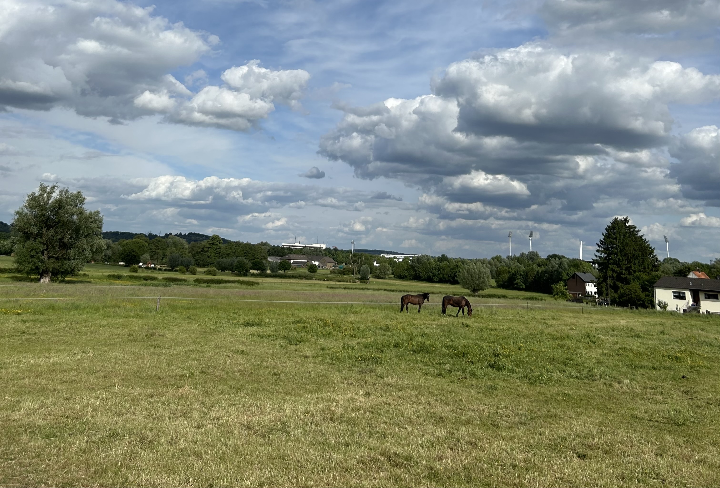 aire de camping-car - Gut Scheuer