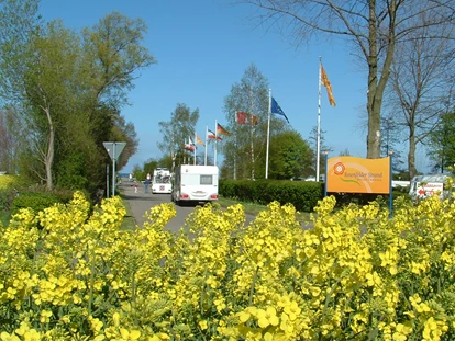 Plaza de aparcamiento para autocaravanas - Rosenfelder Strand Ostsee Camping