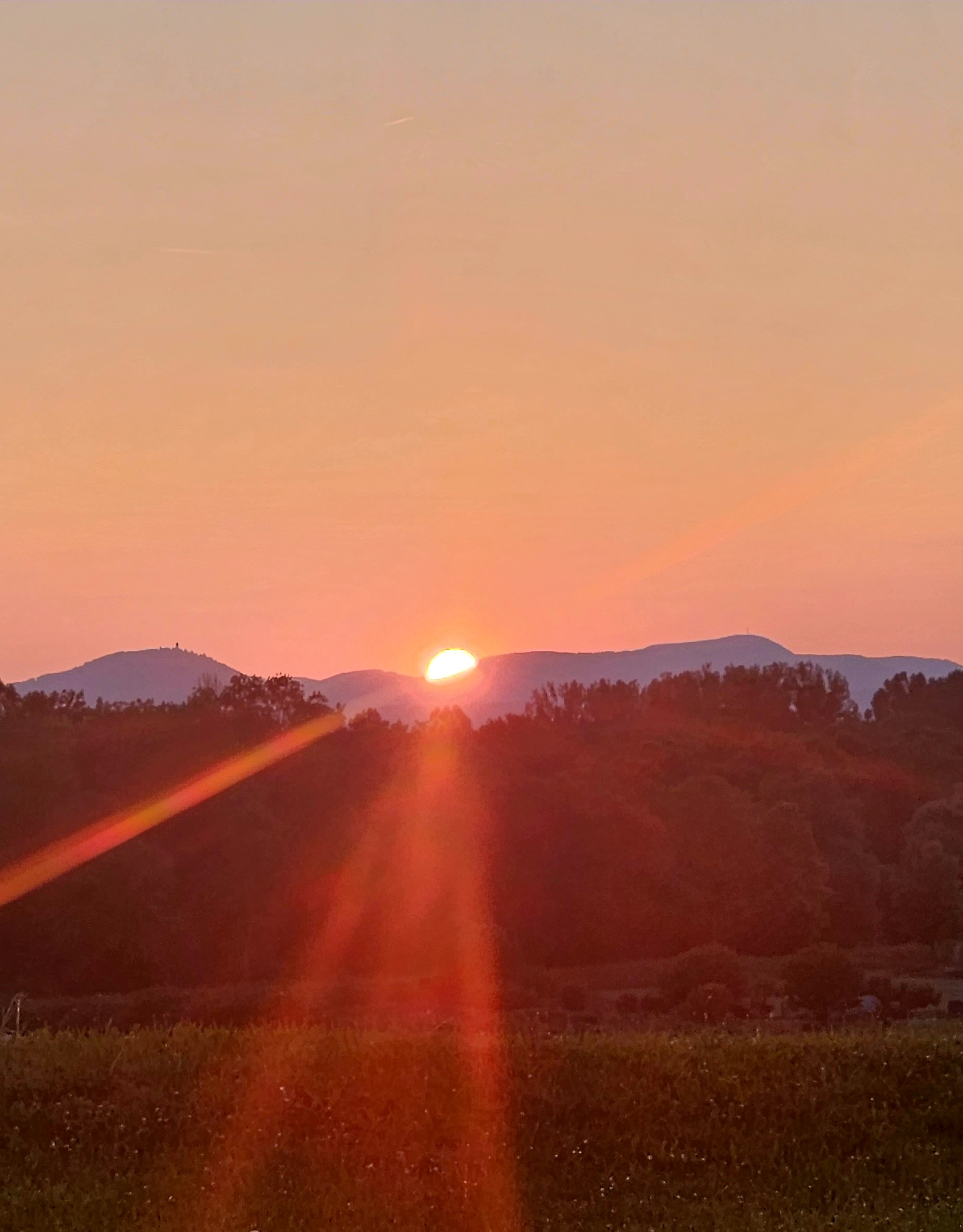 Wohnmobilstellplatz - Alias 