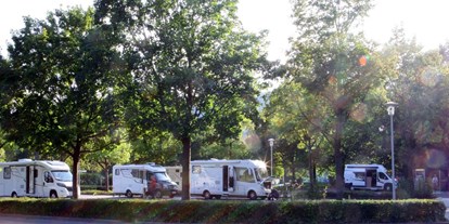 Motorhome parking space - WLAN: am ganzen Platz vorhanden - Westerheim (Alb-Donau-Kreis) - Wohnmobilstellplatz Blaubeuren