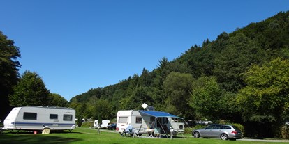 Reisemobilstellplatz - Art des Stellplatz: bei Gewässer - Neckarzimmern - Stellplätze - Odenwald-Camping-Park