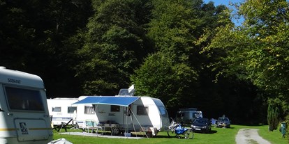 Reisemobilstellplatz - Umgebungsschwerpunkt: Fluss - Lindenfels - Stellplätze - Odenwald-Camping-Park