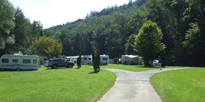 Reisemobilstellplatz - Bademöglichkeit für Hunde - Heidelberg - Premium-Stellplätze - Odenwald-Camping-Park