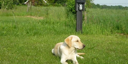 Reisemobilstellplatz - Hunde erlaubt: Hunde erlaubt - Hamminkeln - De Haar