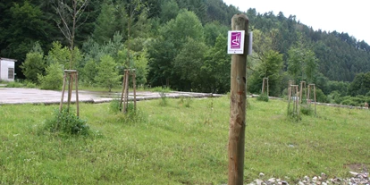Reisemobilstellplatz - Hunde erlaubt: Hunde erlaubt - Sensweiler - Stellplatz am Besucherbergwerk Fell
