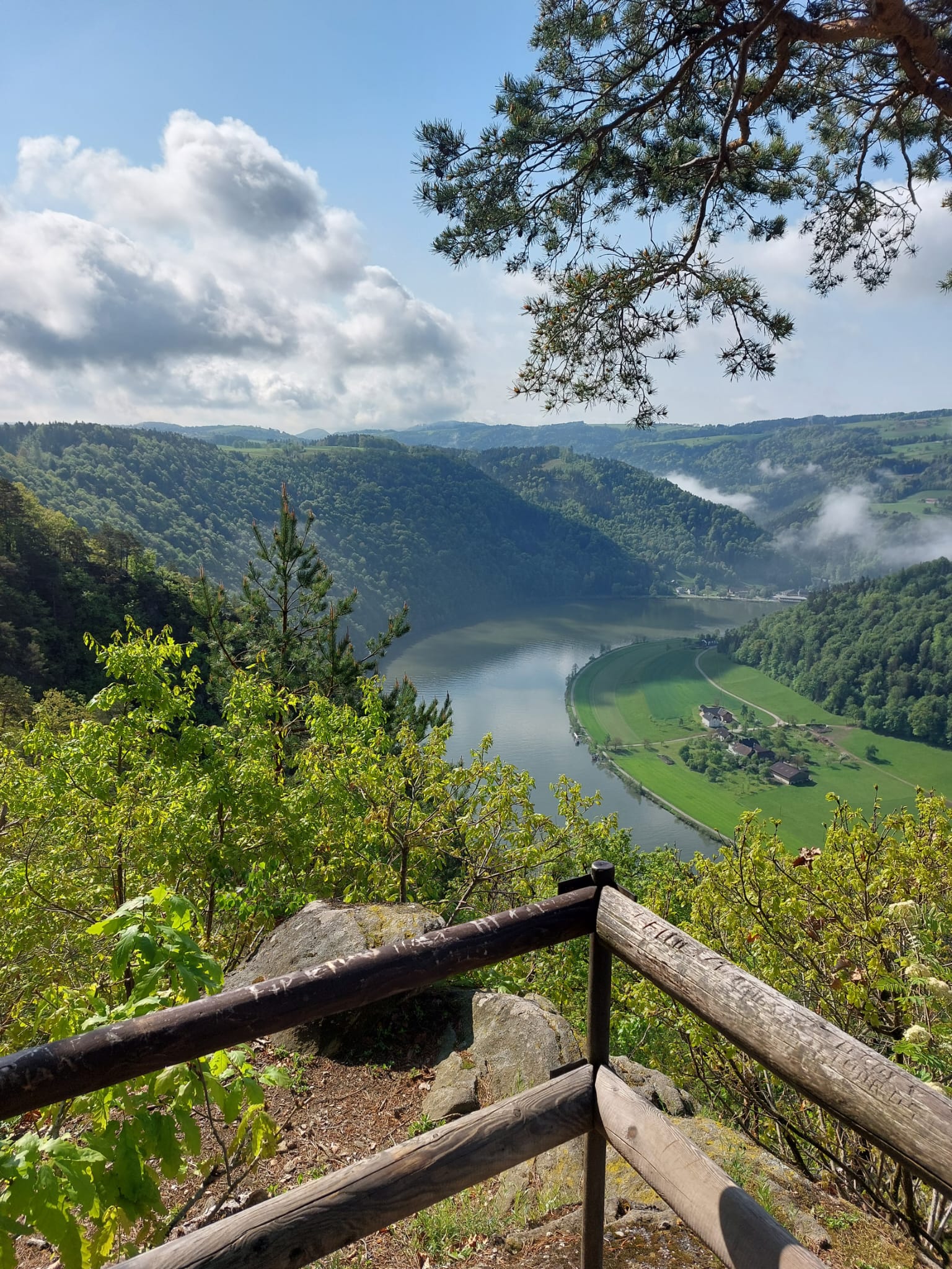 Wohnmobilstellplatz - Aussichtspunkt Steiner Felsen  - Naturwunder Stellplatz Donaublick (Steiner-Felsen)