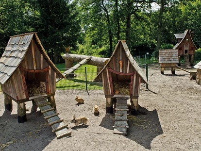 Reisemobilstellplatz - Spielplatz - Helvesiek - Streichel-Zoo am Wohnmobilhafen - WohnmobilHafen Lüneburger Heide