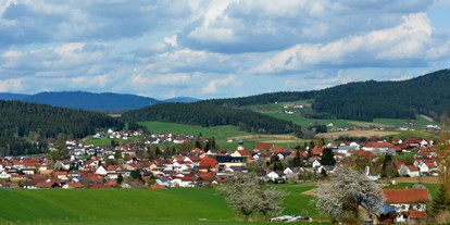 Reisemobilstellplatz - Umgebungsschwerpunkt: am Land - Ostbayern - Wohnmobilstellplatz Ruhmannsfelden 