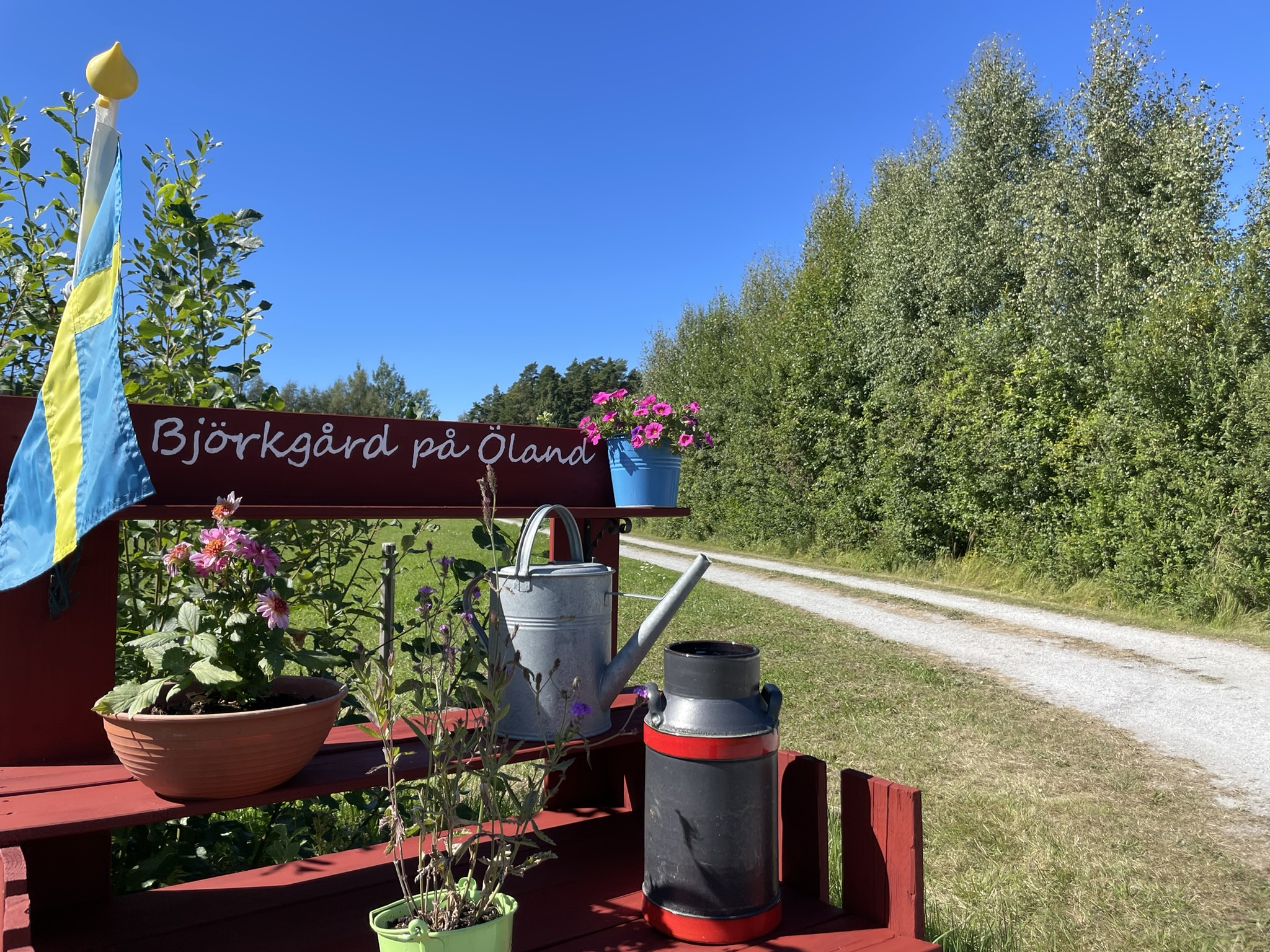 Wohnmobilstellplatz - Einfahrt zum Hof - Björkgård på Öland 
