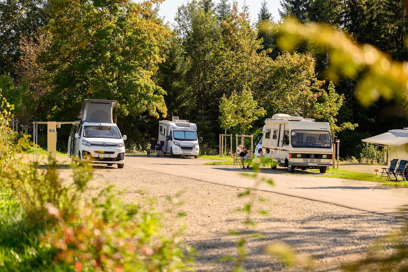 Wohnmobilstellplatz - @Scheidegg Tourismus - Wohnmobilstellplatz Scheidegg "beim Uli"