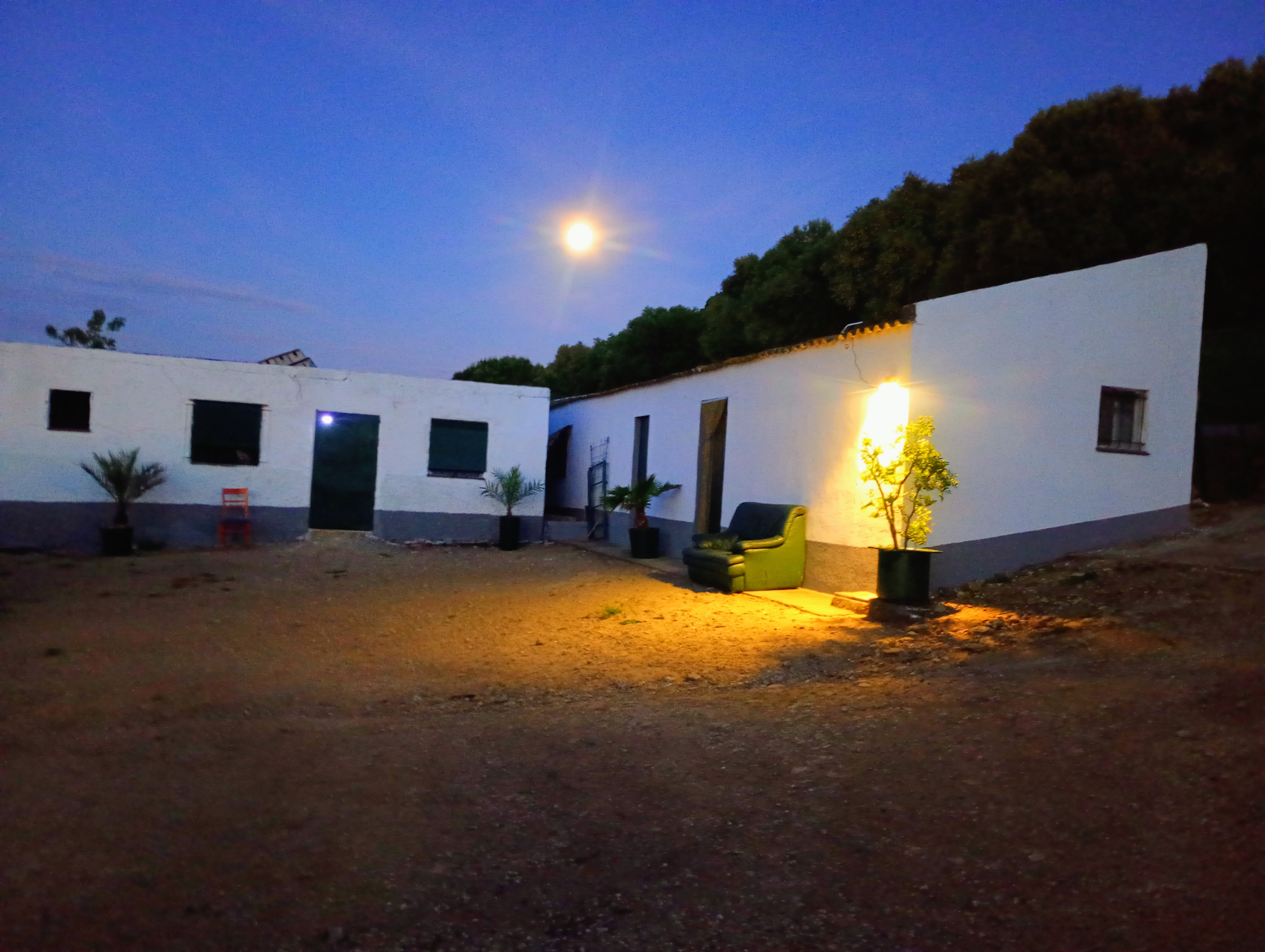 Wohnmobilstellplatz - Übernachten, wie auf der eigenen Finca in Andalusien....mitten im Campo andaluz ! - Finca La Muleta