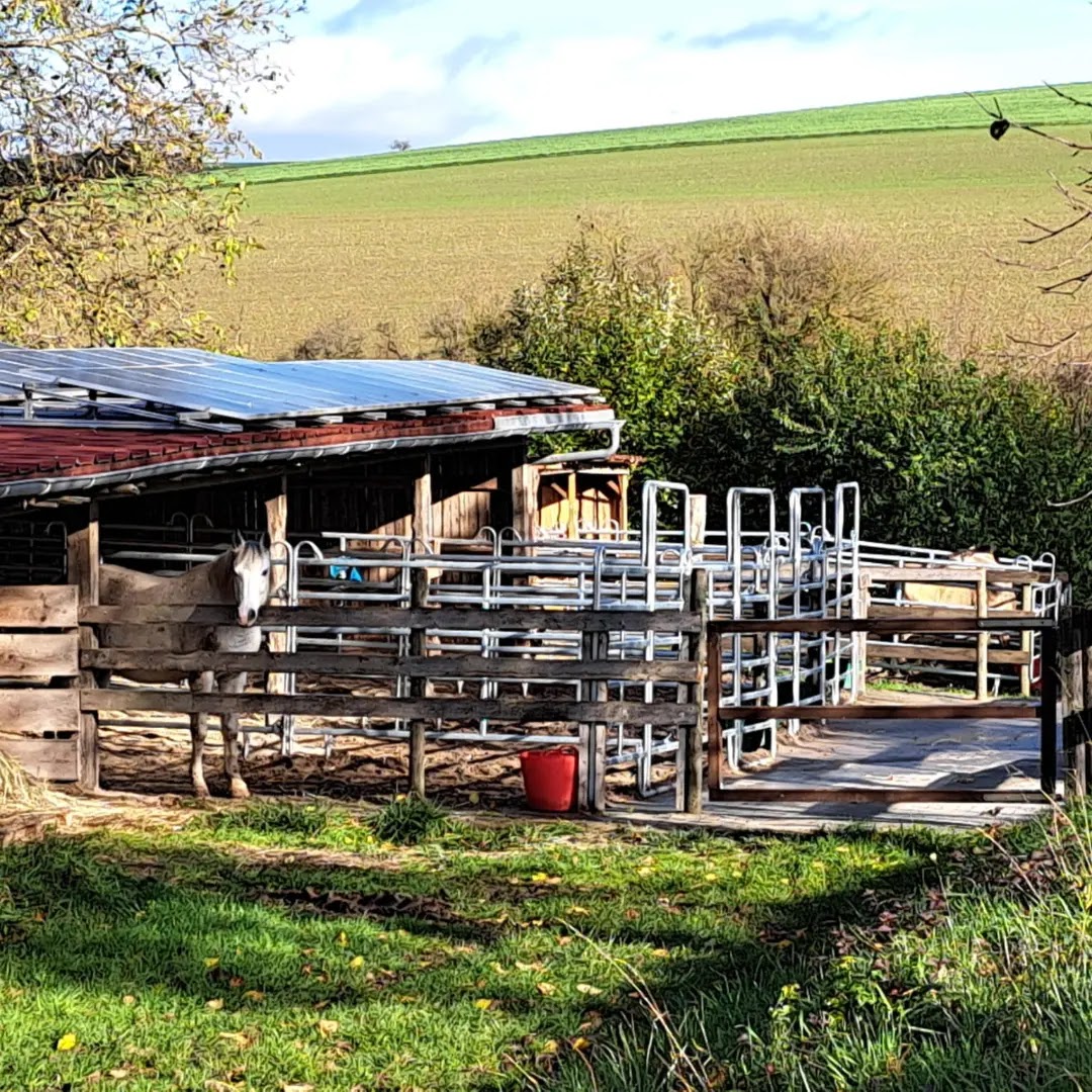 Wohnmobilstellplatz - Ranch Urlaub 