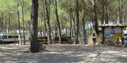 Place de parking pour camping-car - WLAN: am ganzen Platz vorhanden - Calabre - Stellpätze mit Blick aufs Meer - Camping Lungomare