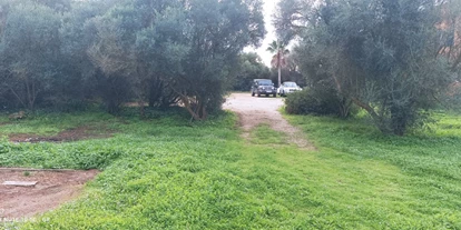 Parkeerplaats voor camper - Hunde erlaubt: Hunde teilweise - Spanje - Verein der Freunde Mallorcas
