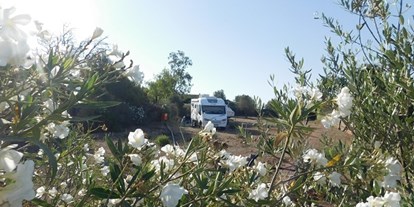 Motorhome parking space - Frischwasserversorgung - Can Picafort - Stellplatz - Verein der Freunde Mallorcas