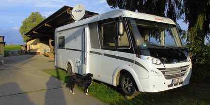 Motorhome parking space - Hunde erlaubt: Hunde teilweise - Sinsheim - Ganz ruhiger Stellplatz - Stellplatz Moonlight-Ranch