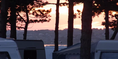 Reisemobilstellplatz - Entsorgung Toilettenkassette - Ebeltoft - Ebeltoft Strand Camping 