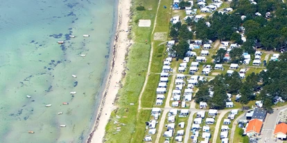 Reisemobilstellplatz - WLAN: am ganzen Platz vorhanden - Ebeltoft - Ebeltoft Strand Camping 