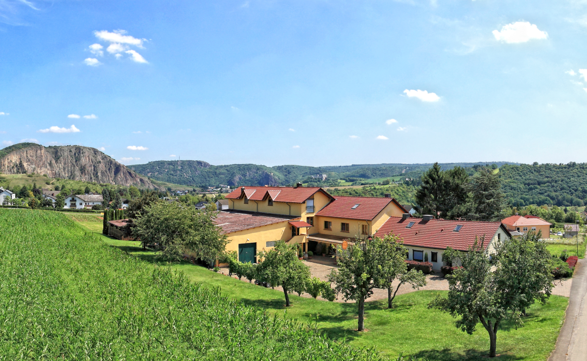aire de camping-car - Stellplatz am Weingut Brunnenhof