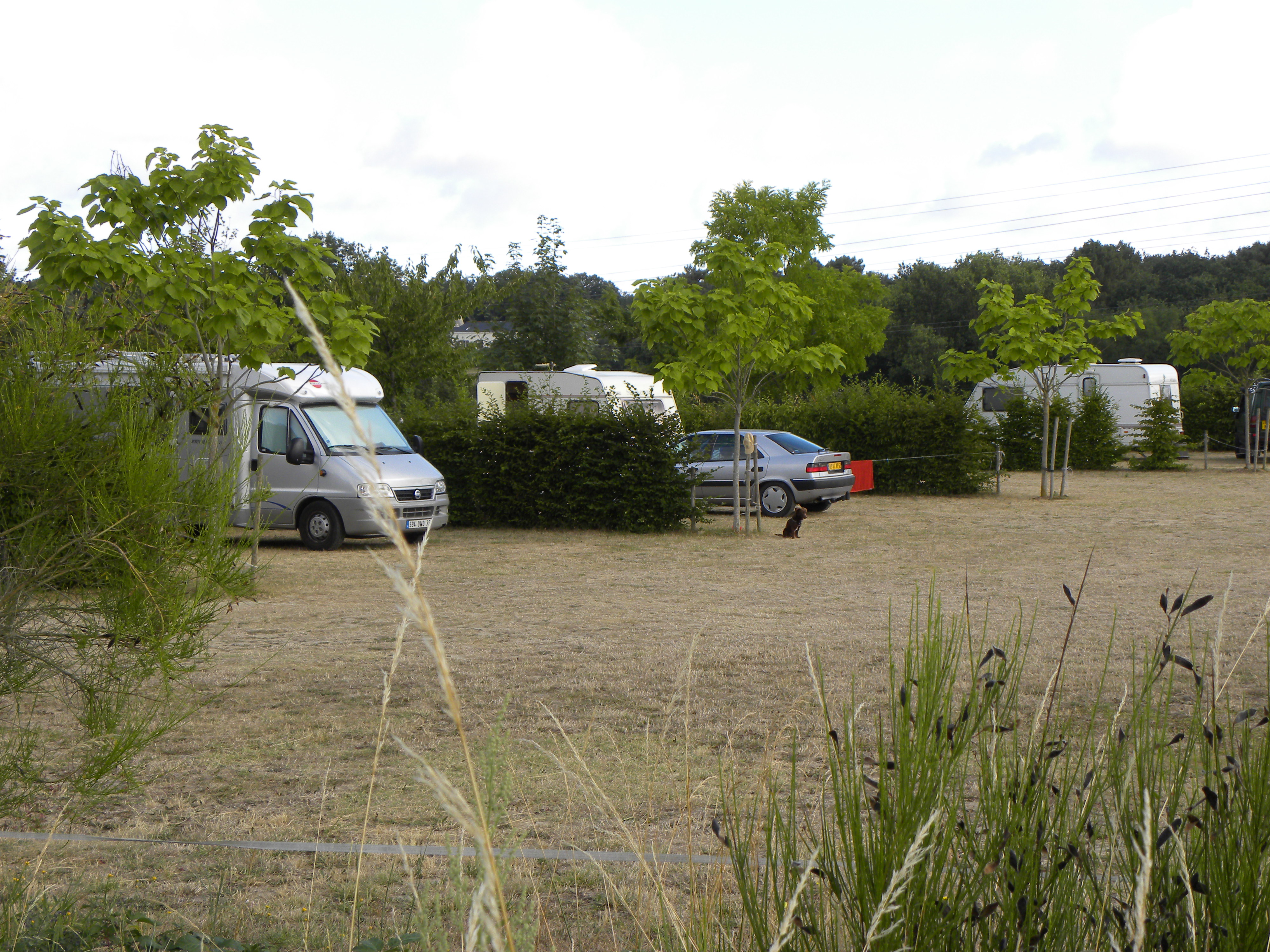 Wohnmobilstellplatz - Ferme du Bois Madame