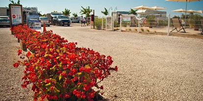 Plaza de aparcamiento para autocaravanas - Wohnwagen erlaubt - Vila Nova de Cacela - Entrada - Camper Park Playas de Luz