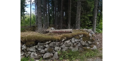 Parkeerplaats voor camper - Frischwasserversorgung - Älmeboda - Fröbergsslätt 