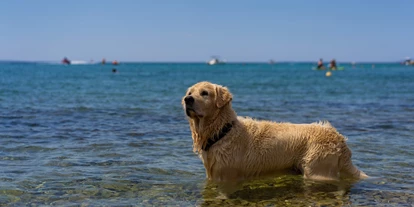 RV park - Bademöglichkeit für Hunde - Croatia - Terra Park Phalaris