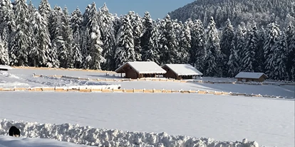 Reisemobilstellplatz - Umgebungsschwerpunkt: Berg - Dietingen - Winter auf der Alm - Almruhe "Die erste Alm im Nordschwarzwald"