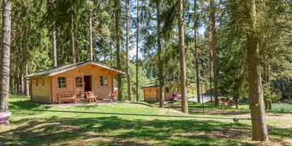 Reisemobilstellplatz - Bademöglichkeit für Hunde - Scheunendorf mit 4 urigen Holzhütten - Vogtlandcamping