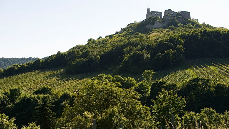 aire de camping-car - Burgruine Falkenstein - Burgruine Falkenstein