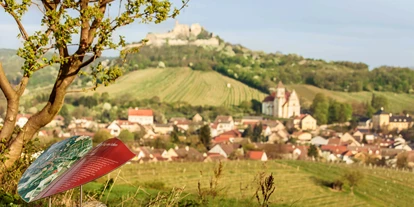 Parkeerplaats voor camper - Neder-Oostenrijk - Weinwanderpark "Der Flug des Falken" - mehr als ein Flügelschlag - Weinkultur auf sieben Routen erwandern - Burgruine Falkenstein